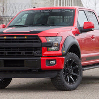 Roush F150 Grill 2015-2017 Authentic OEM